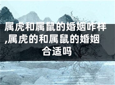 属虎和属鼠的婚姻咋样,属虎的和属鼠的婚姻合适吗
