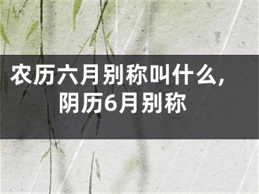 农历六月别称叫什么,阴历6月别称