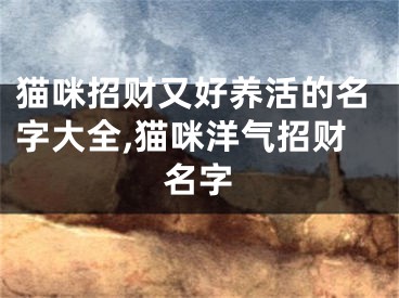 猫咪招财又好养活的名字大全,猫咪洋气招财名字