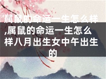 属鼠的命运一生怎么样,属鼠的命运一生怎么样八月出生女中午出生的