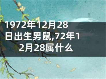 1972年12月28日出生男鼠,72年12月28属什么