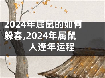 2024年属鼠的如何躲春,2024年属鼠人逢年运程