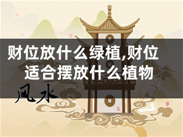 财位放什么绿植,财位适合摆放什么植物