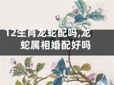 12生肖龙蛇配吗,龙蛇属相婚配好吗