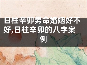 日柱辛卯男命婚姻好不好,日柱辛卯的八字案例