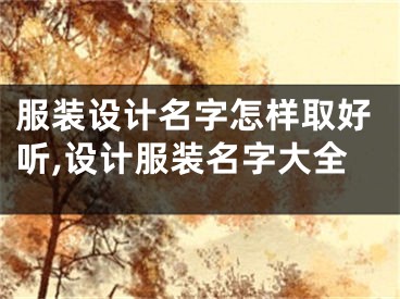 服装设计名字怎样取好听,设计服装名字大全