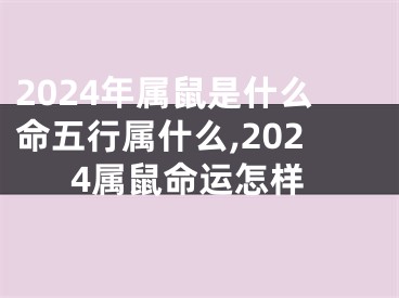 2024年属鼠是什么命五行属什么,2024属鼠命运怎样