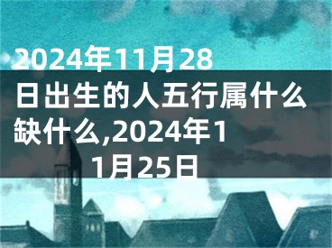 2024年11月28日出生的人五行属什么缺什么,2024年11月25日