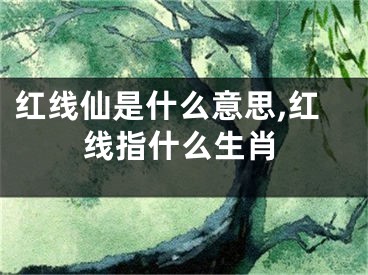 红线仙是什么意思,红线指什么生肖