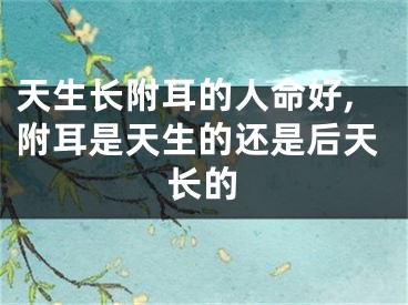 天生长附耳的人命好,附耳是天生的还是后天长的