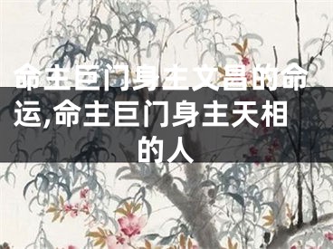 命主巨门身主文昌的命运,命主巨门身主天相的人