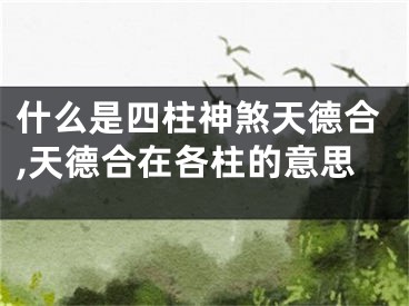 什么是四柱神煞天德合,天德合在各柱的意思
