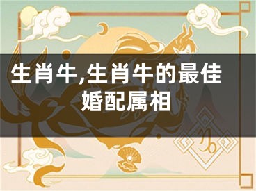 生肖牛,生肖牛的最佳婚配属相