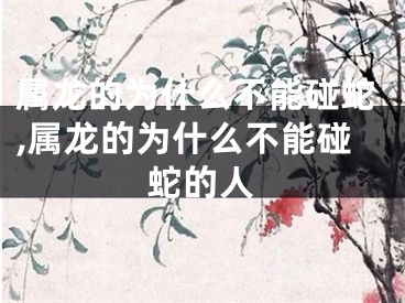 属龙的为什么不能碰蛇,属龙的为什么不能碰蛇的人