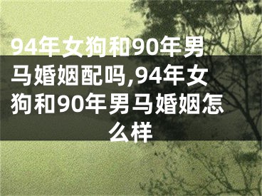 94年女狗和90年男马婚姻配吗,94年女狗和90年男马婚姻怎么样