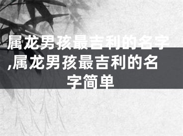 属龙男孩最吉利的名字,属龙男孩最吉利的名字简单