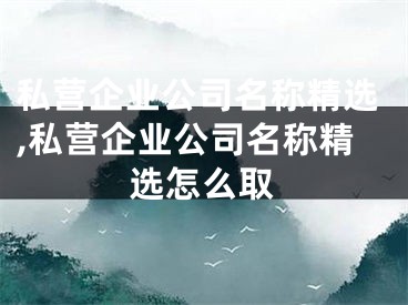 私营企业公司名称精选,私营企业公司名称精选怎么取