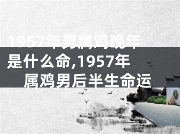 1957年男属鸡晚年是什么命,1957年属鸡男后半生命运