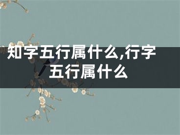 知字五行属什么,行字五行属什么