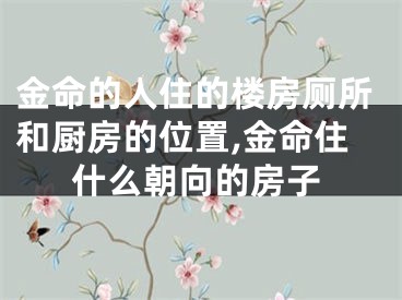 金命的人住的楼房厕所和厨房的位置,金命住什么朝向的房子