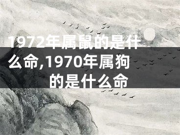 1972年属鼠的是什么命,1970年属狗的是什么命