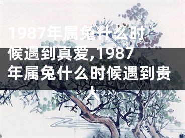 1987年属兔什么时候遇到真爱,1987年属兔什么时候遇到贵人