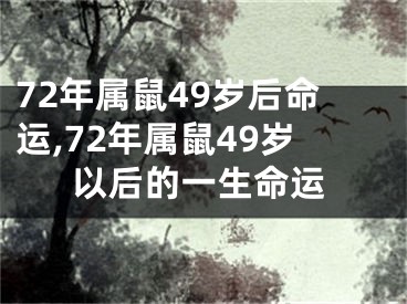 72年属鼠49岁后命运,72年属鼠49岁以后的一生命运