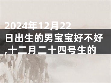 2024年12月22日出生的男宝宝好不好,十二月二十四号生的