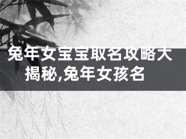 兔年女宝宝取名攻略大揭秘,兔年女孩名