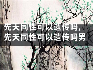 先天同性可以遗传吗,先天同性可以遗传吗男