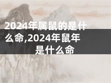 2024年属鼠的是什么命,2024年鼠年是什么命