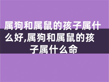 属狗和属鼠的孩子属什么好,属狗和属鼠的孩子属什么命