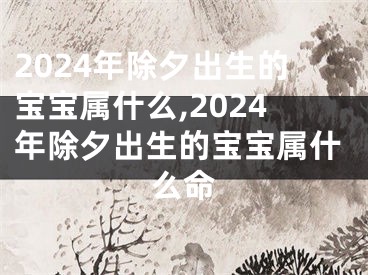 2024年除夕出生的宝宝属什么,2024年除夕出生的宝宝属什么命
