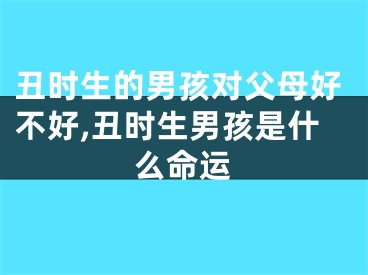 丑时生的男孩对父母好不好,丑时生男孩是什么命运