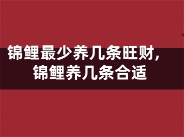 锦鲤最少养几条旺财,锦鲤养几条合适