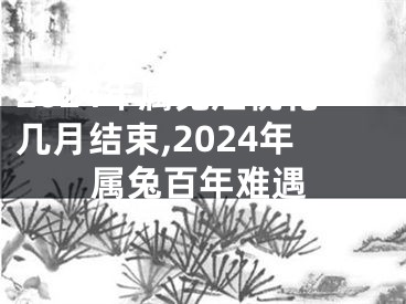 2024年属兔烂桃花几月结束,2024年属兔百年难遇