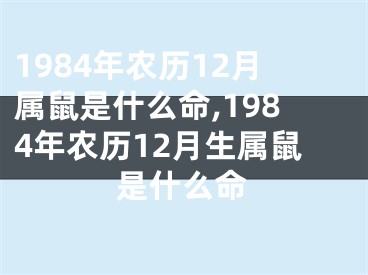 1984年农历12月属鼠是什么命,1984年农历12月生属鼠是什么命