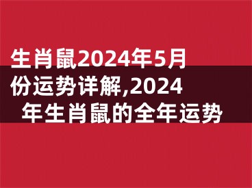 生肖鼠2024年5月份运势详解,2024年生肖鼠的全年运势