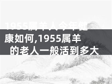 1955属羊人今年健康如何,1955属羊的老人一般活到多大