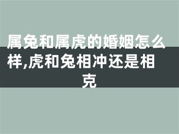 属兔和属虎的婚姻怎么样,虎和兔相冲还是相克