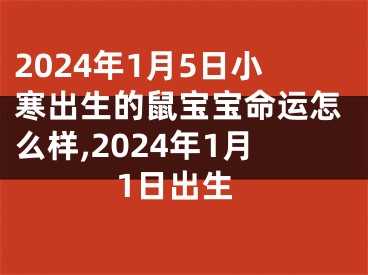 2024年1月5日小寒出生的鼠宝宝命运怎么样,2024年1月1日出生
