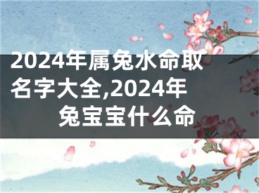 2024年属兔水命取名字大全,2024年兔宝宝什么命