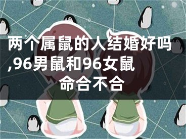 两个属鼠的人结婚好吗,96男鼠和96女鼠命合不合