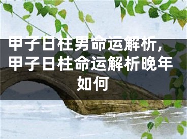甲子日柱男命运解析,甲子日柱命运解析晚年如何