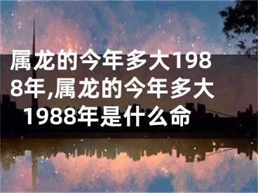 属龙的今年多大1988年,属龙的今年多大1988年是什么命