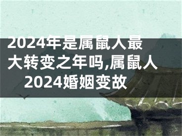 2024年是属鼠人最大转变之年吗,属鼠人2024婚姻变故