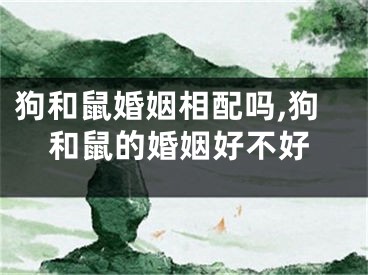 狗和鼠婚姻相配吗,狗和鼠的婚姻好不好