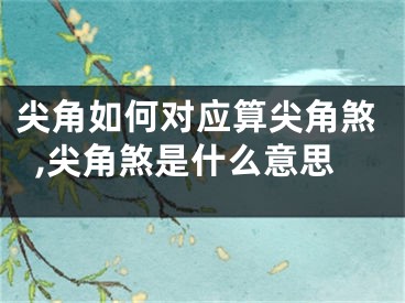 尖角如何对应算尖角煞,尖角煞是什么意思
