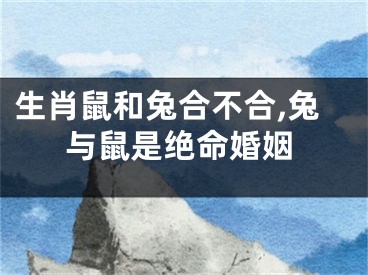 生肖鼠和兔合不合,兔与鼠是绝命婚姻