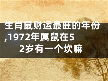 生肖鼠财运最旺的年份,1972年属鼠在52岁有一个坎嘛